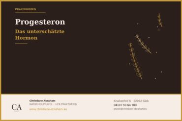 Staffel 1 / Folge 7